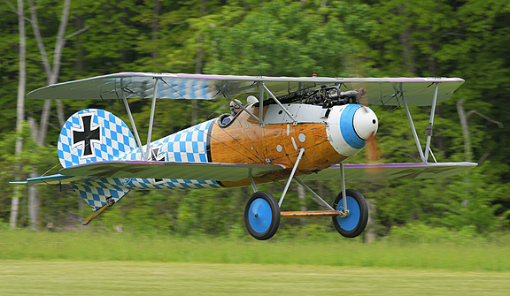 Albatros_2458.jpg