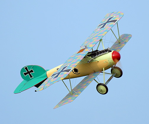 Albatros_4516.jpg