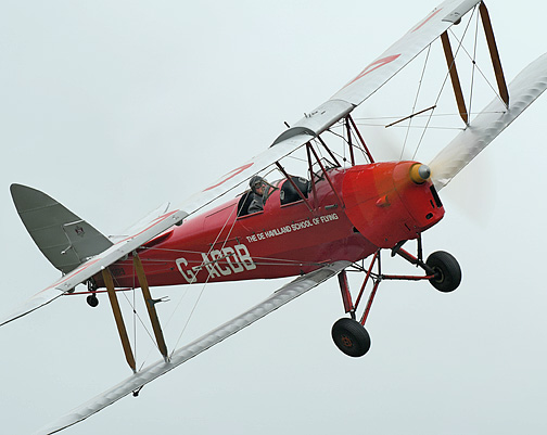 Tiger Moth_6644.jpg