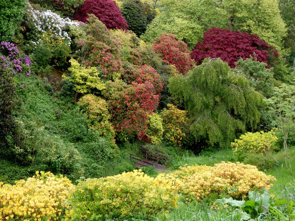 Colors of nature.jpg