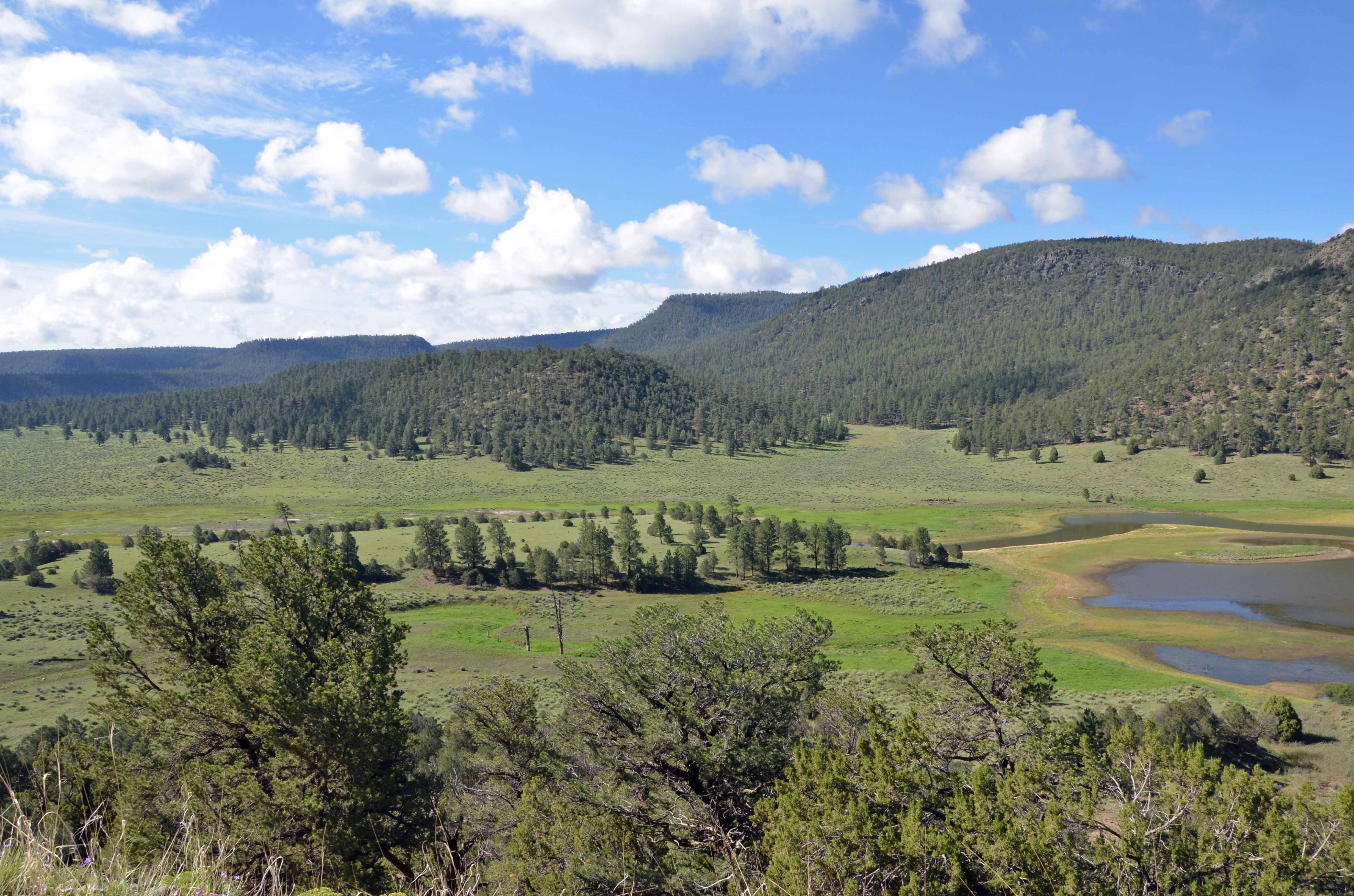 Quemado Lake,  NM