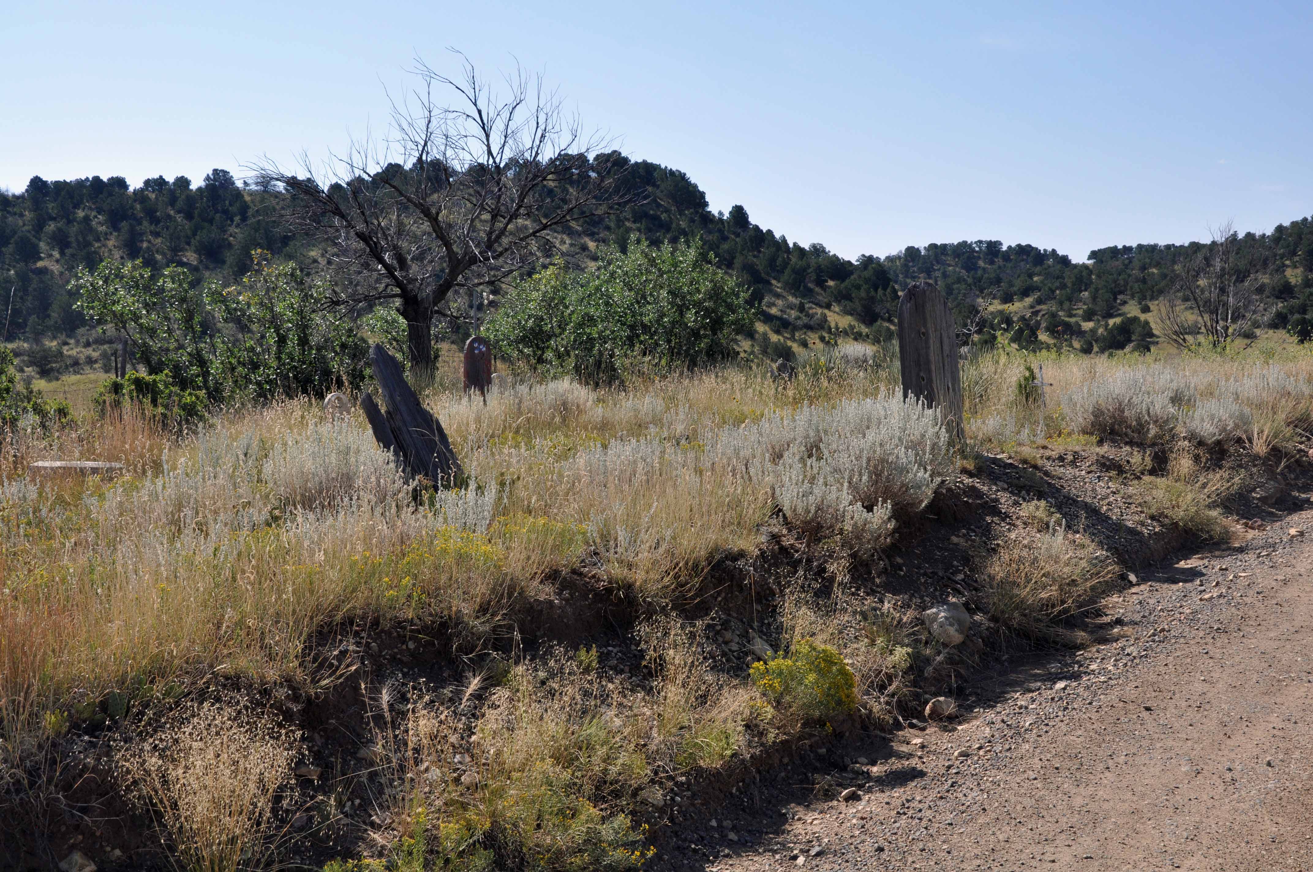Cimarron, NM