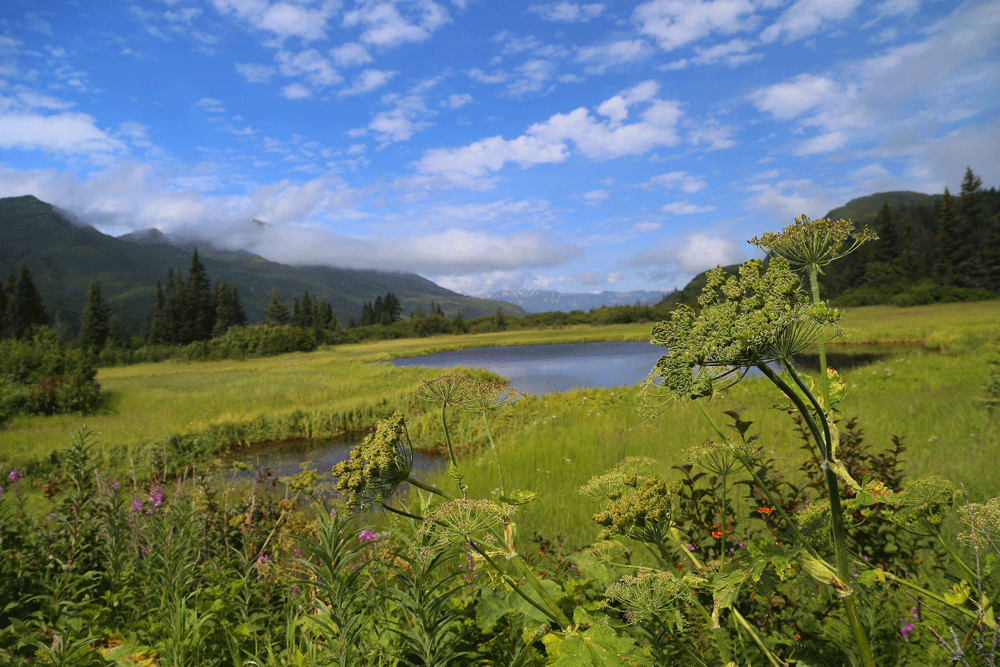 Lake-Clark-NP-2014