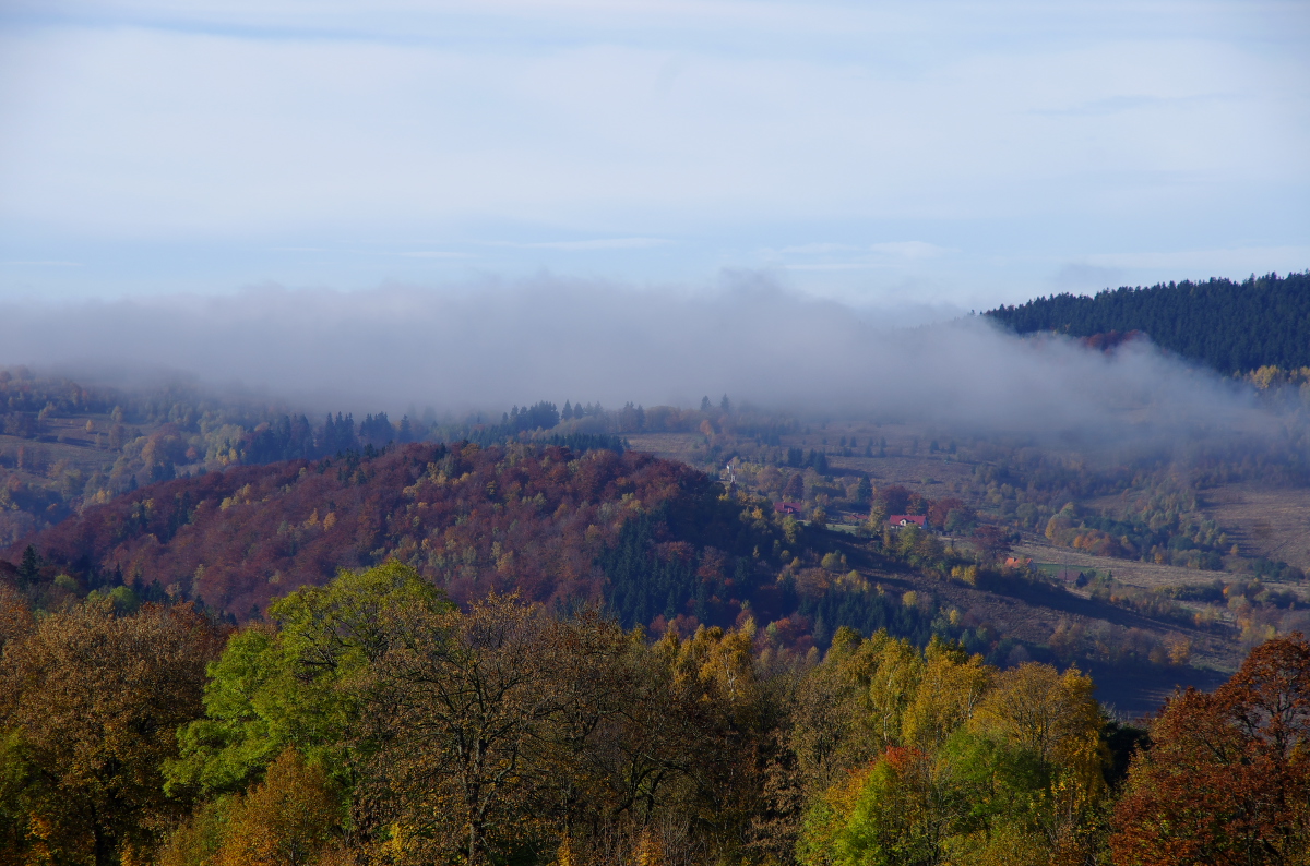 Gory Sowie (Owl Mountains)