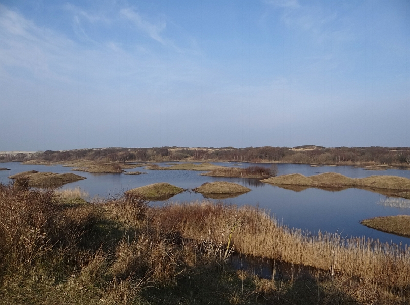 Omgeving Breede Water