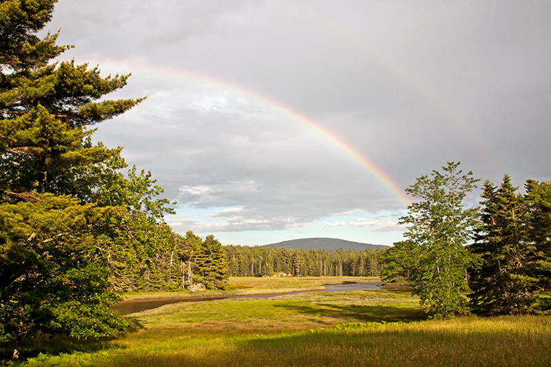 Maine Rainbow