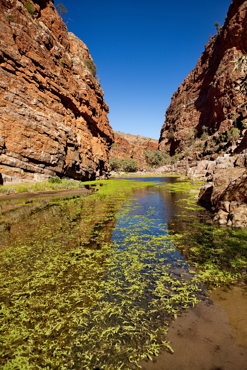 Annies Gorge  - Ruby Gap