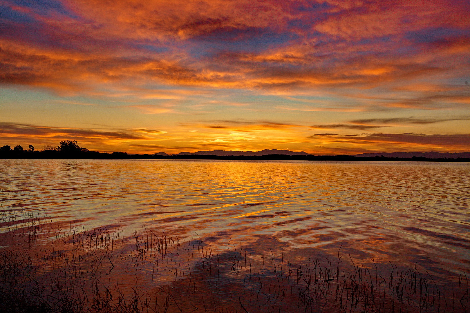 Ellesmere Sunset