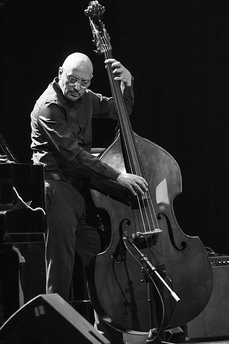Dario Deidda  la basse