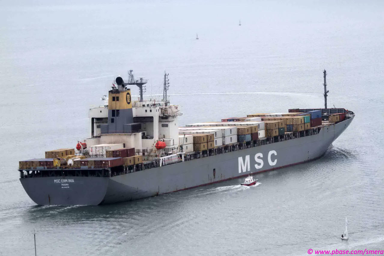 MSC Erminia