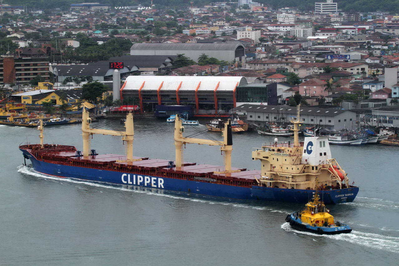 Clipper Tarpon