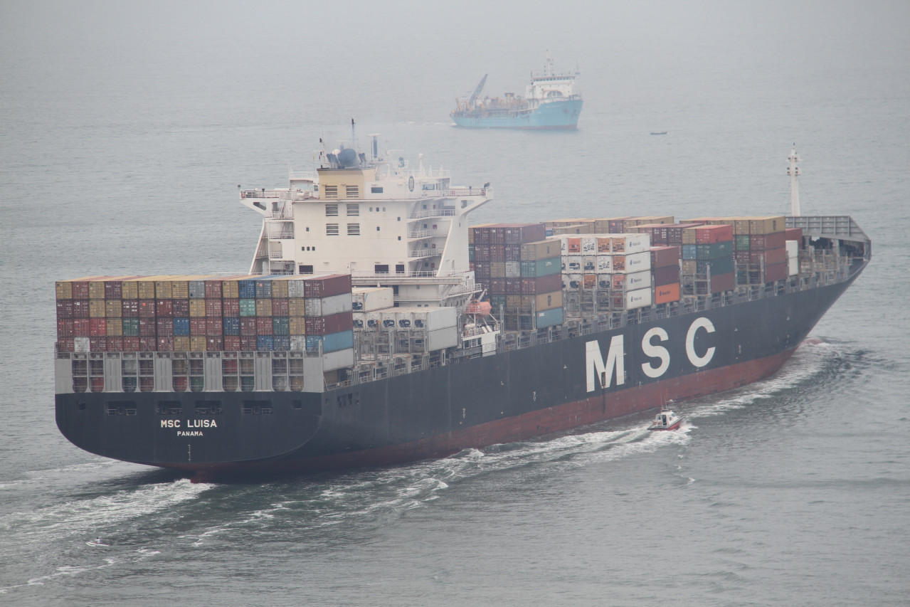 MSC Luisa