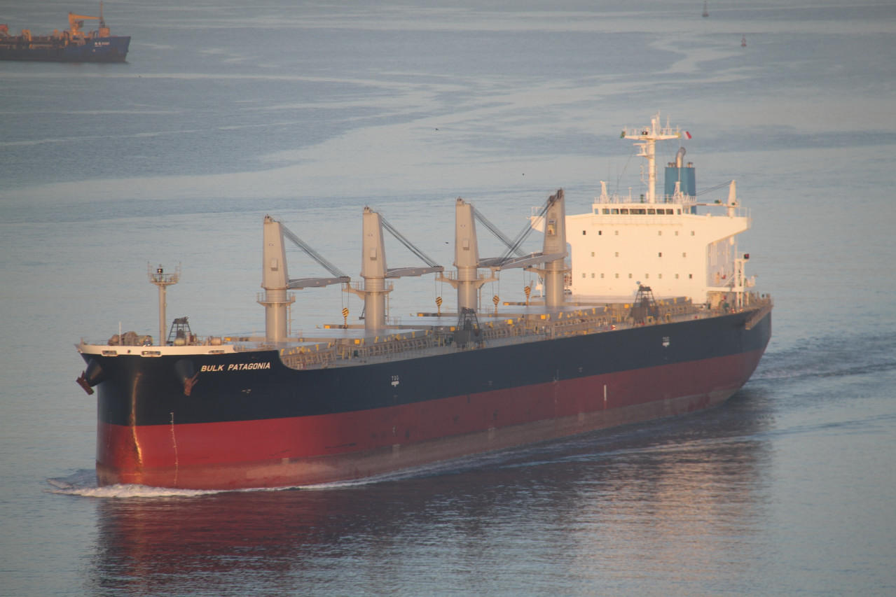 Santos BULK