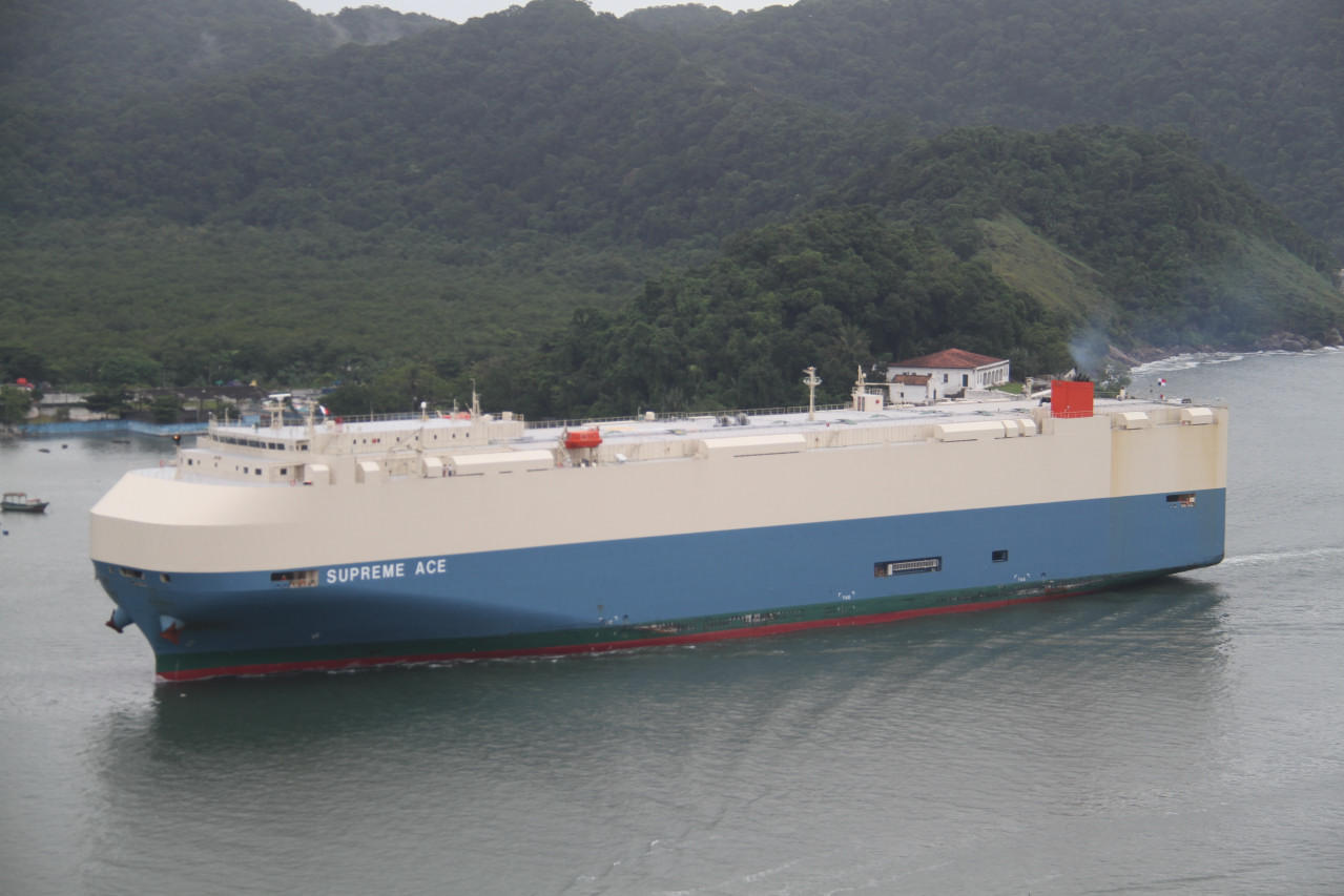 Supreme Ace - 14 abr 2013_6476.JPG
