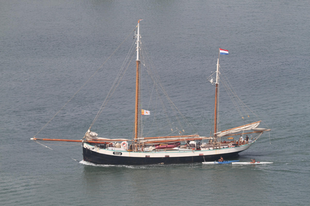 Tecla - 03 abr 2013 - 3_6480.JPG