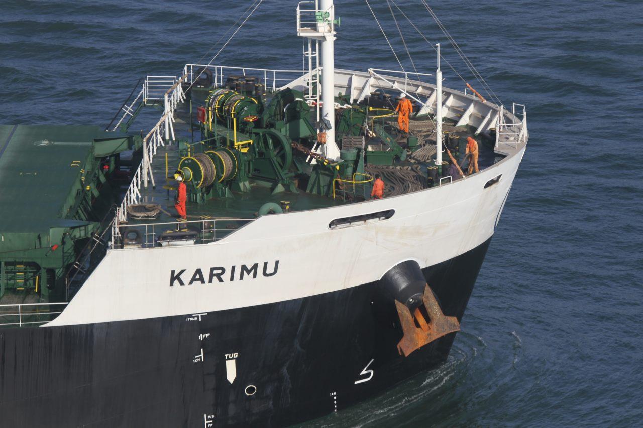 Karimu - 14 jun 2014 - detalhe.JPG