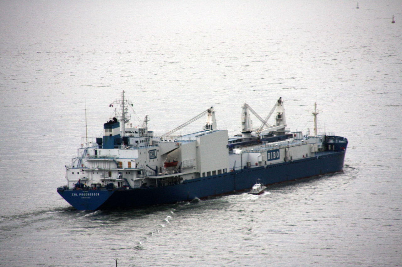 CHL Progressor
