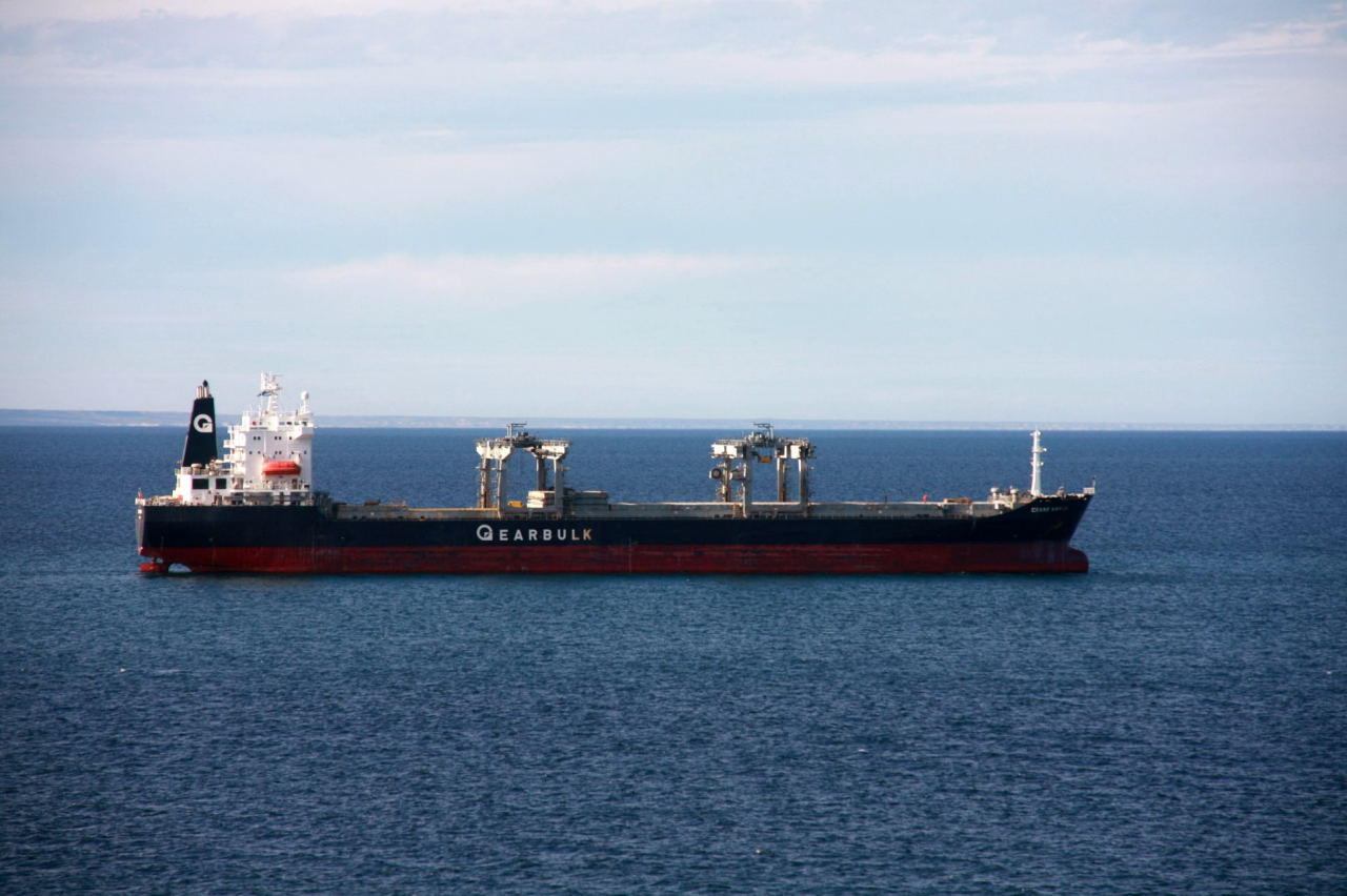 Crane Arrow - Puerto Madryn