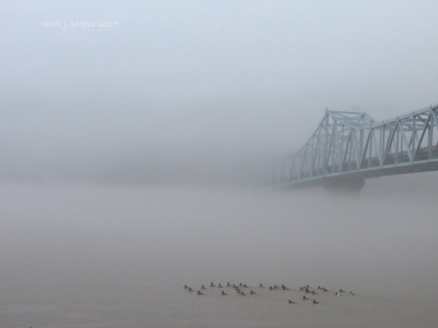 The bridge to Milton, Kentucky hidden by heavy fog and rain.