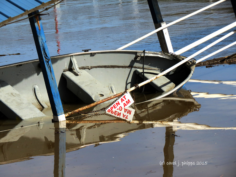 The Ohio River at Flood Stage Again