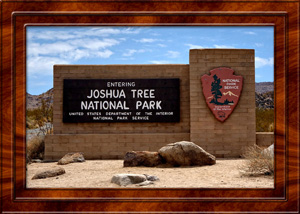 2014-07-09 Joshua Tree National Park California
