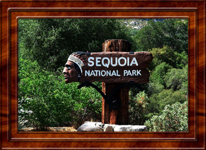 2014-07-10 Sequoia National Park California