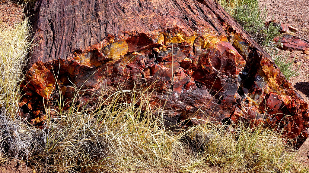 Petrified Forest National Park HDR DSC05344.jpg