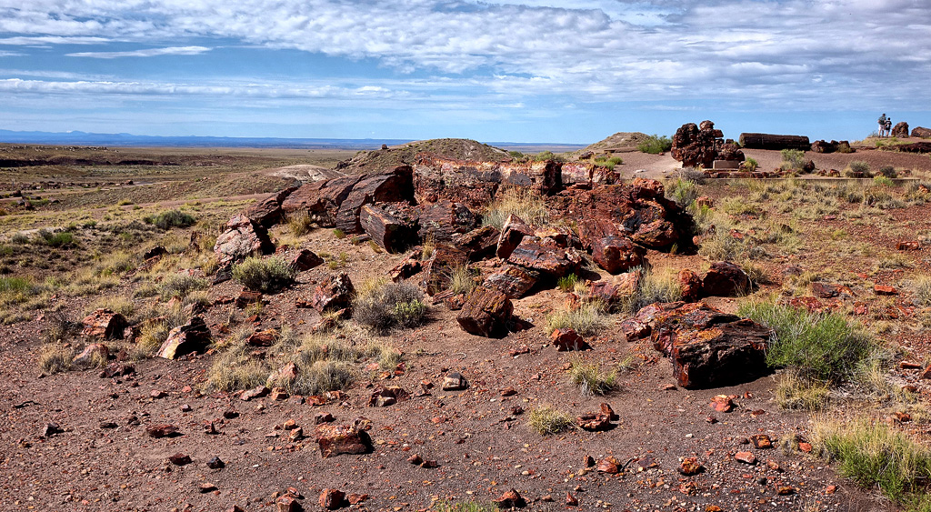 Petrified Forest National Park HDR DSC05349.jpg