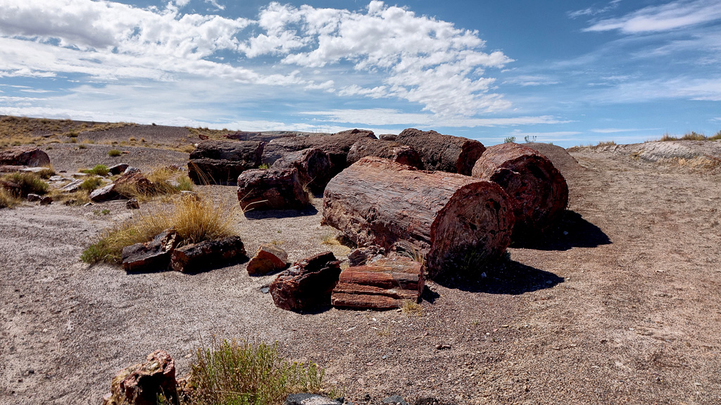 Petrified Forest National Park HDR DSC05389.jpg