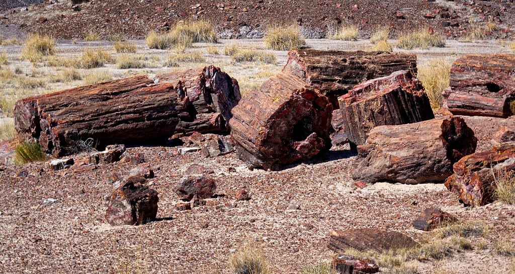 Petrified Forest National Park HDR DSC05403.jpg