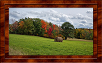 2014 Fall Foliage Vestal, NEW York RX10