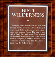 2015-06-20 Bisti Wilderness Area New Mexico