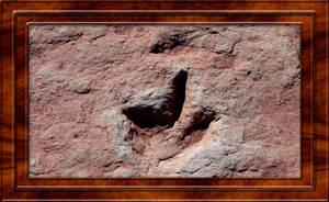 Dinosaur Tracks & Petroglyphs