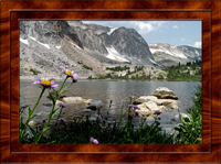 Medicine Bow Pass Wyoming