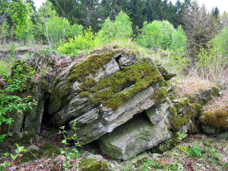 Moss-grown Rocks