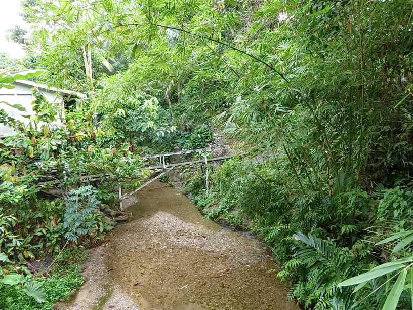 P1000945er.JPG