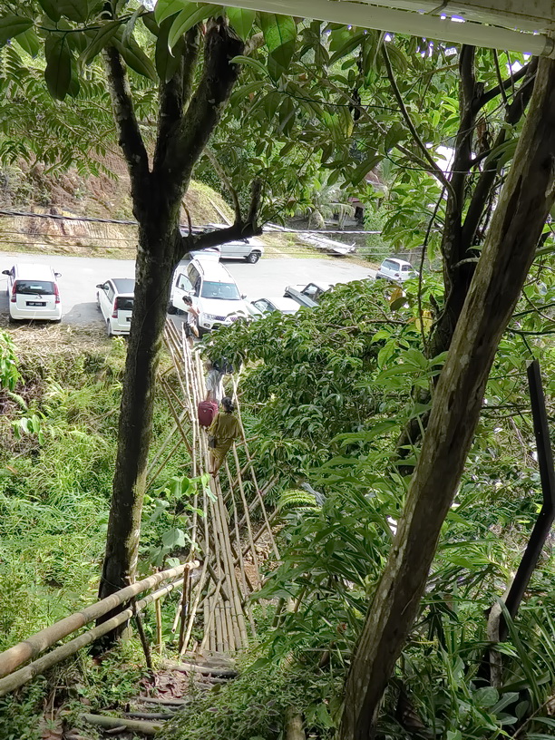 P1000962er.JPG