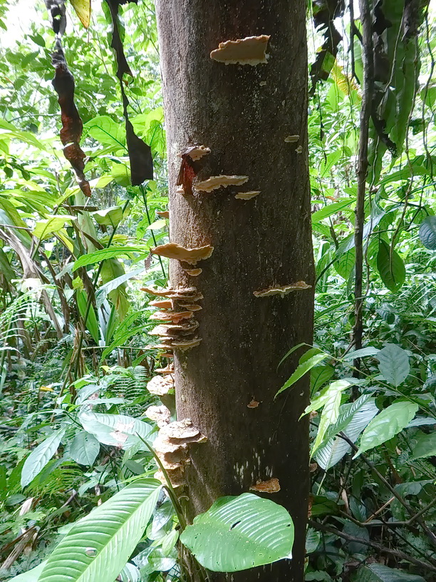 P1040368er.JPG