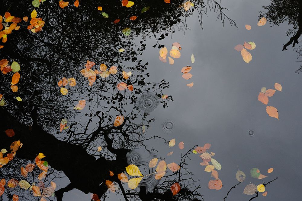 Autumn reflections /  Efterrs reflectioner