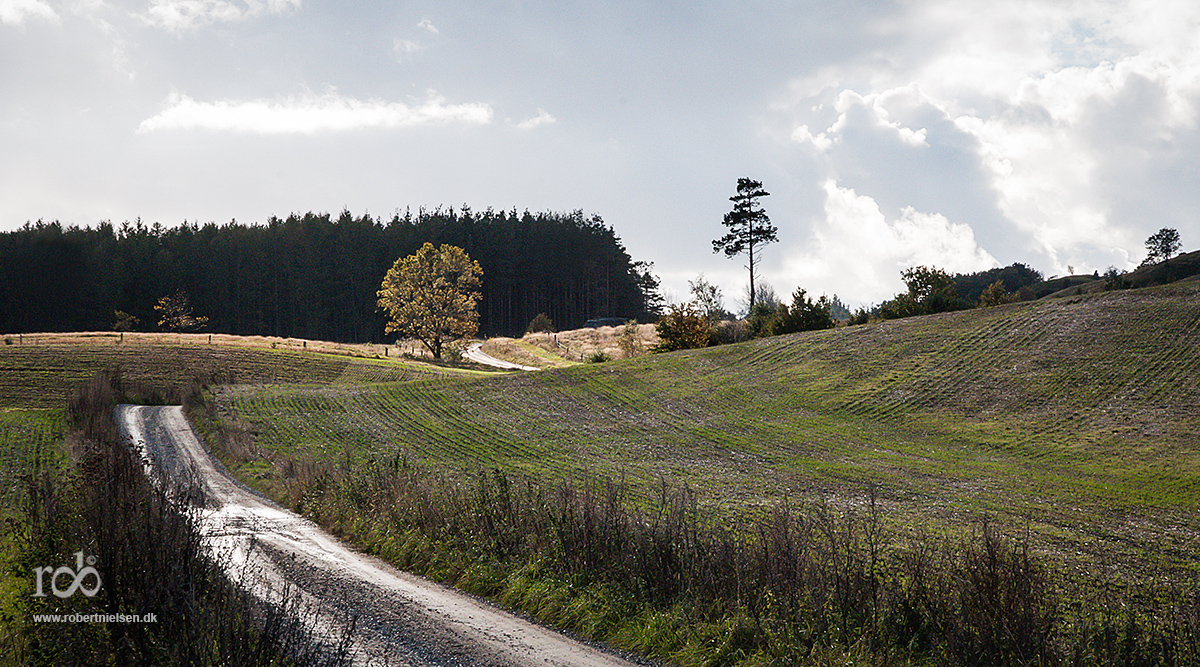 After the rain / Efter regnen