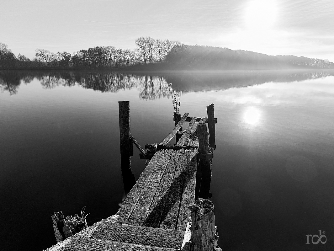 Mist over the lake