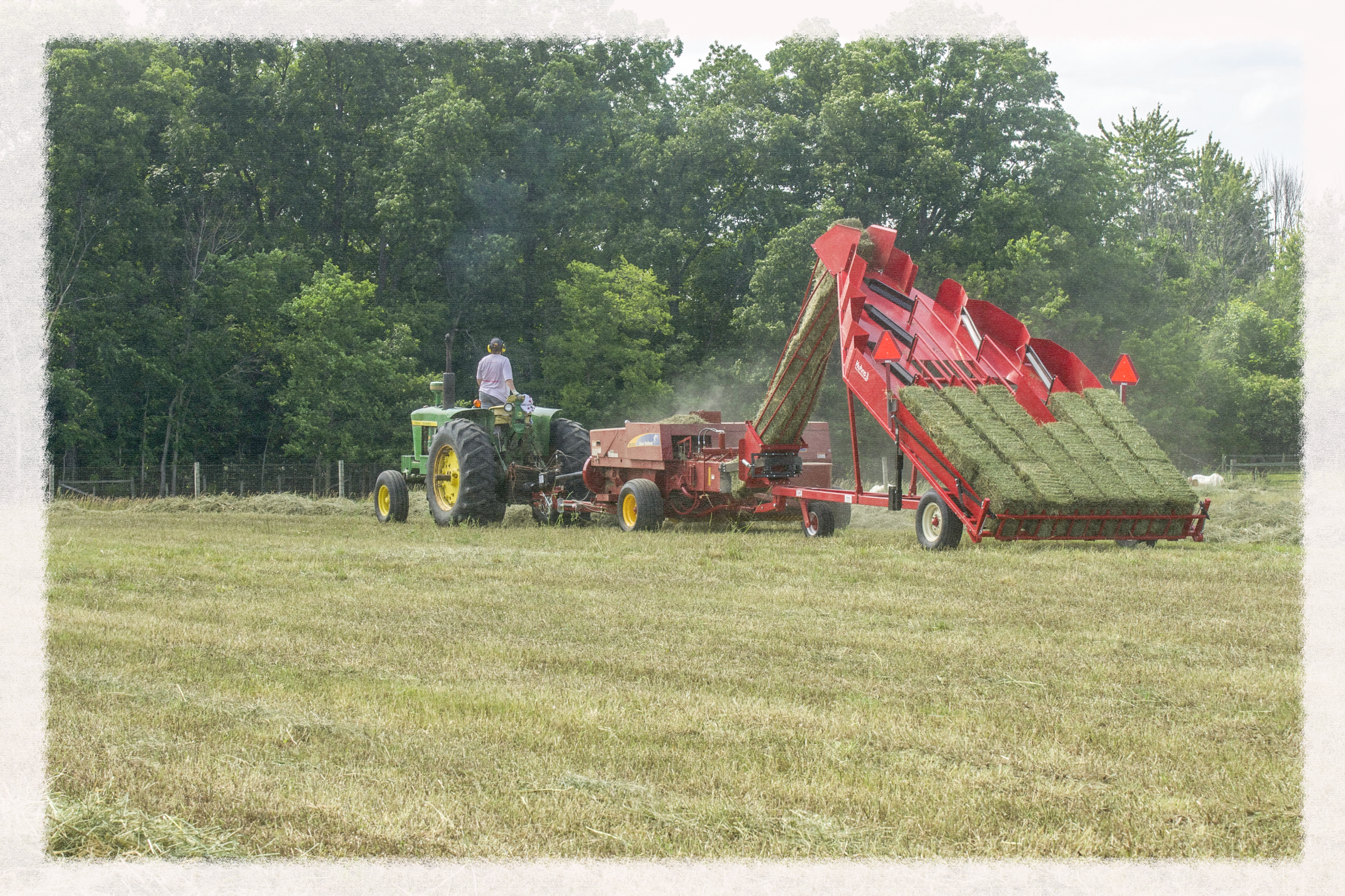 _DSC1070_HAY_3_Edited_Edge.jpg