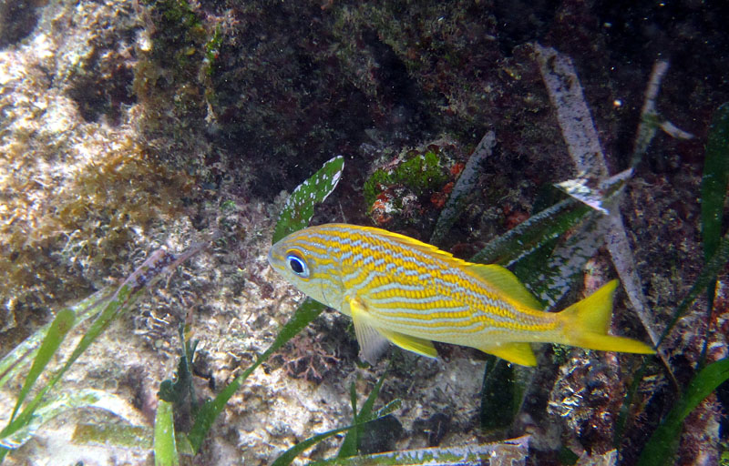 Roatan Honduras-125_edited_edited-2.jpg