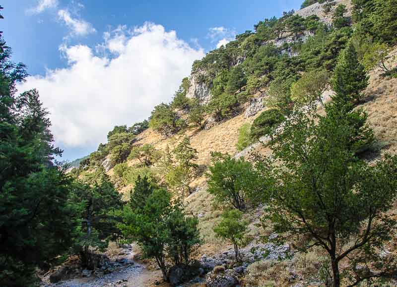 Gorges dImbros (Crte)
