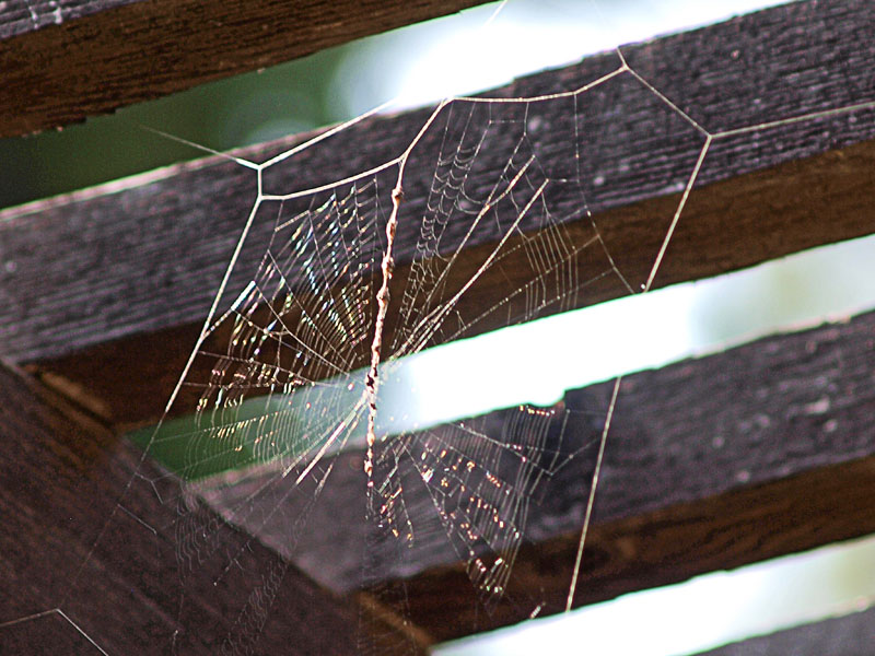 P7208772 copy.jpg