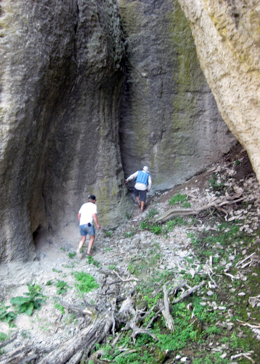 In Search of Bat Guano