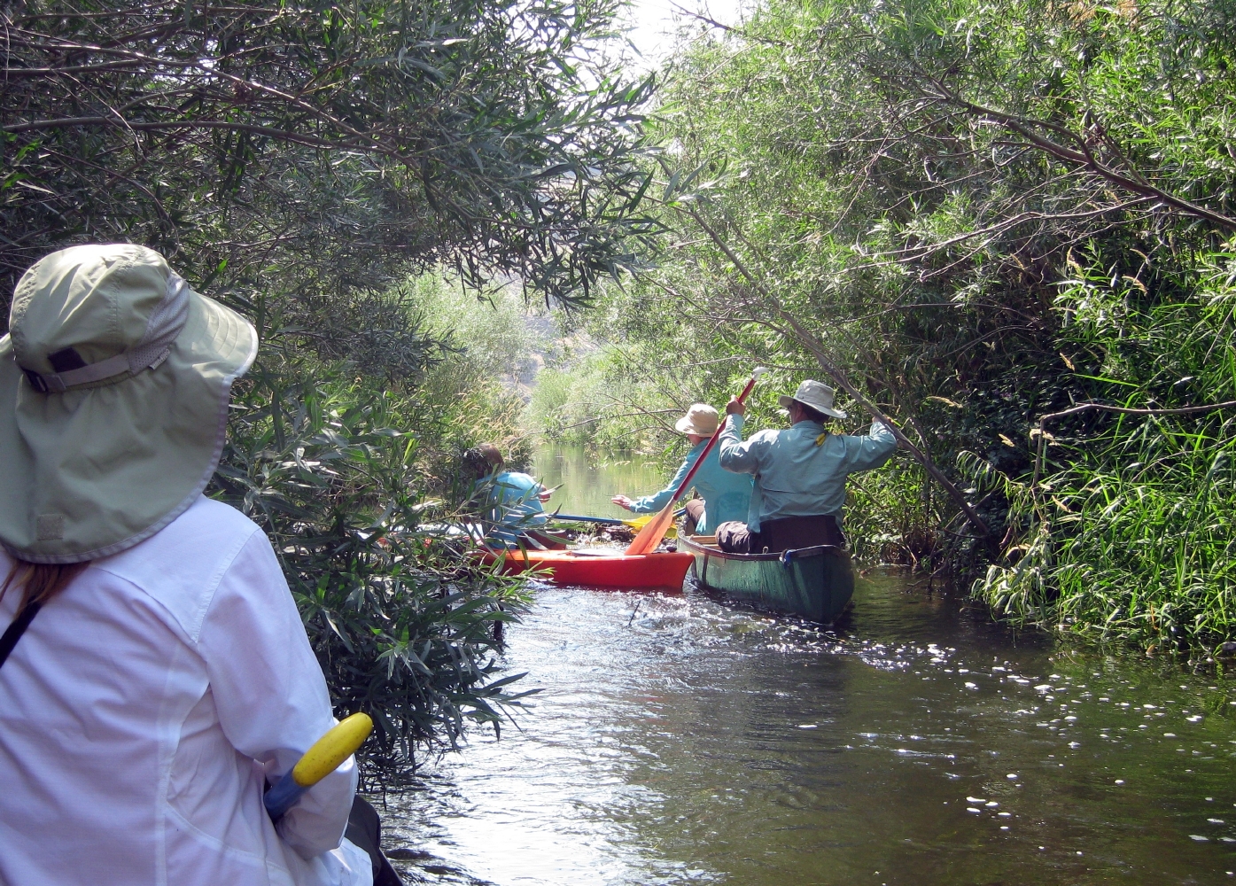 Negotiating a Beaver Dam on Salmon Falls Creek