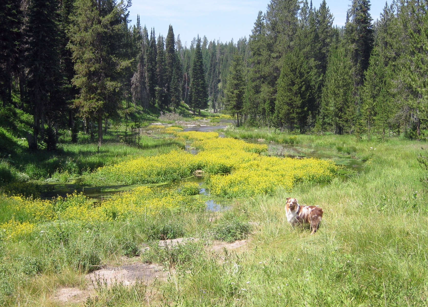 This Days Put-In: The Headwaters of the Buffalo River