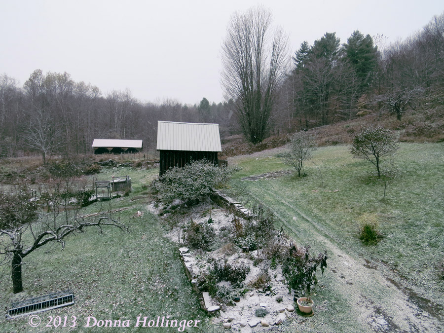 Snowing at Eccohouse