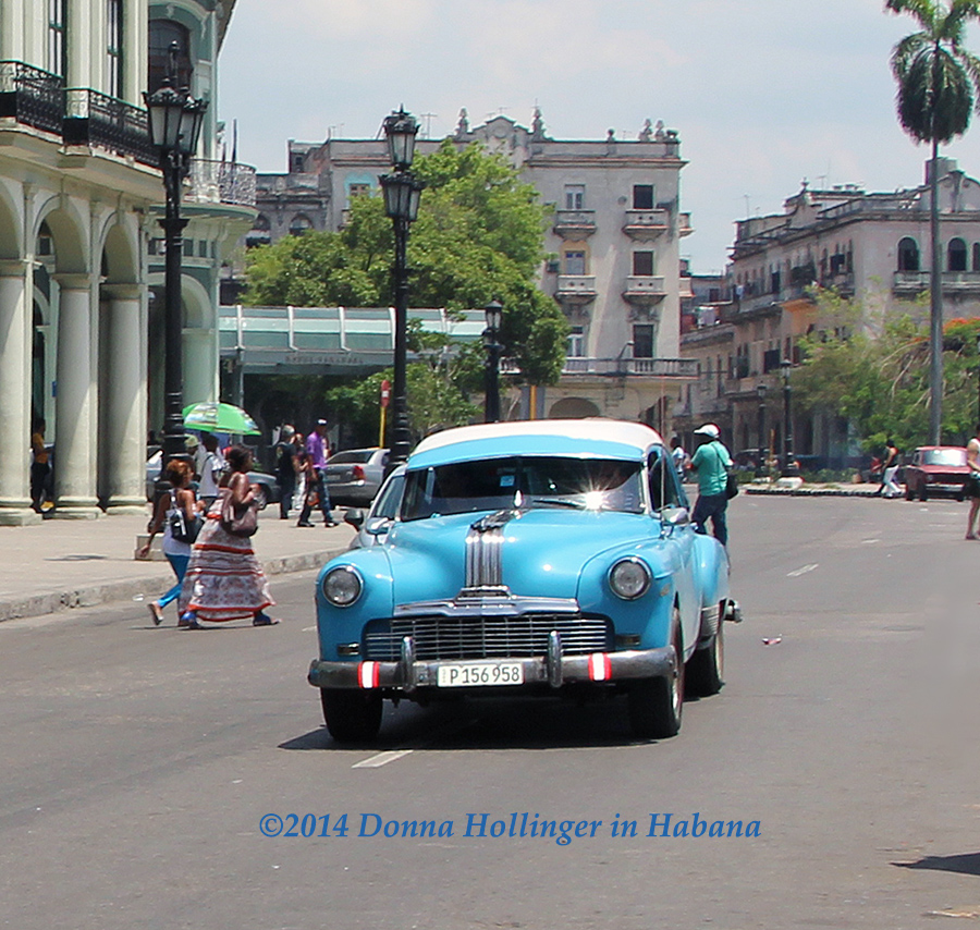 Windshield Visor in Havana! 